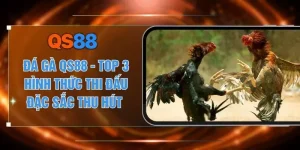 Đá gà QS88 - Top 3 Hình Thức Thi Đấu Đặc Sắc Thu Hút 