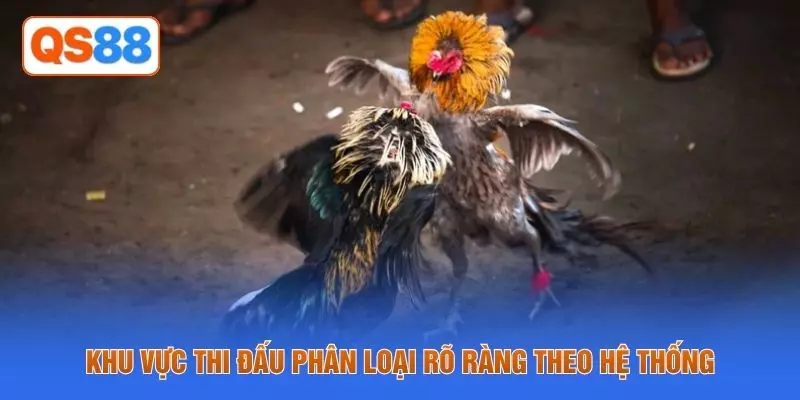 Khu vực thi đấu phân loại rõ ràng theo hệ thống