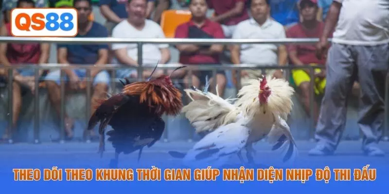 Theo dõi theo khung thời gian giúp nhận diện nhịp độ thi đấu